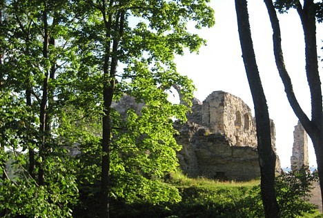 Kokneses pilsdrupas atrodas Daugavas un Pērses satekas vietā un ir viens no unikālākajiem un populārākajiem kultūrvēsturiskajiem objektiem Latvijā