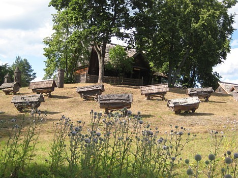 Biškopības muzejs atrodas Lietuvā, Ignalinas tuvumā