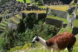 Peru – seno civilizāciju noslēpumu valsts