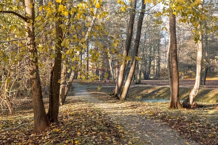 Izstaigā Ventspils  dabas takas pirms uzsnidzis sniegs. Foto: O. Jūra 294909