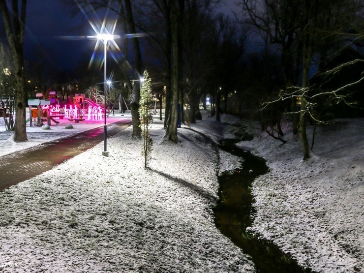 Burvīgā Madona pielaiko ziemu. Foto: Agris Veckalniņš 295080