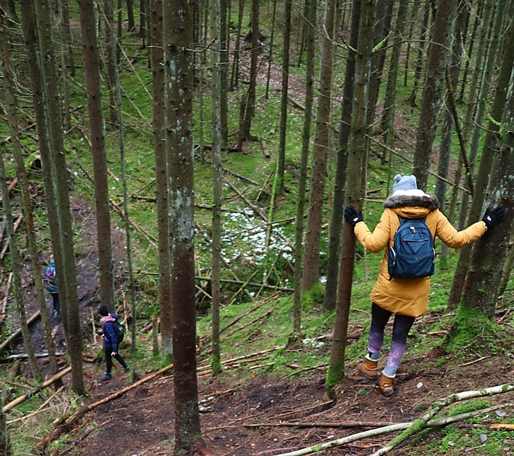 Travelnews.lv dodas 27 km pārgājienā gar Līgatnes upi 295211