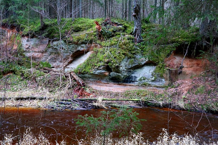 Travelnews.lv dodas 27 km pārgājienā gar Līgatnes upi 295219