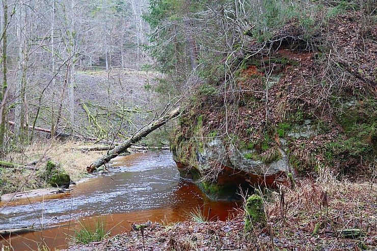 Travelnews.lv iepazīst Līgatnes upes apkārtni 27 km pārgājienā 295233