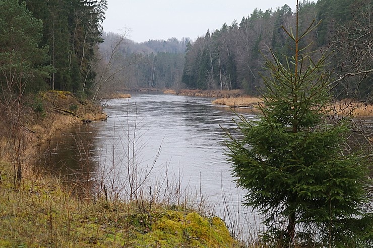 Travelnews.lv dodas 27 km pārgājienā un apmeklē Gūdu klintis un Katrinas iezi pie Gaujas 295286
