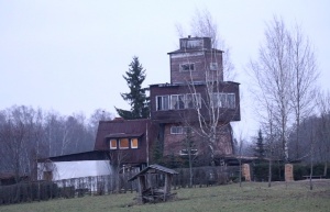 31