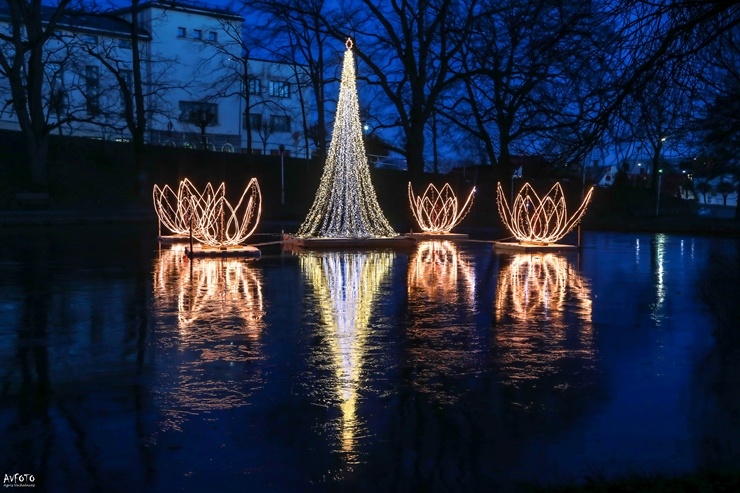 Krāšņā Madona pošas Ziemassvētkiem. Foto: Agris Veckalniņš 295379
