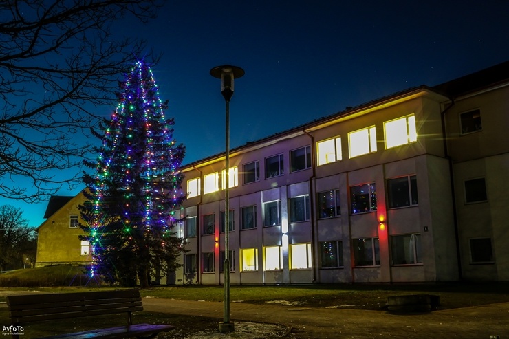 Krāšņā Madona pošas Ziemassvētkiem. Foto: Agris Veckalniņš 295381