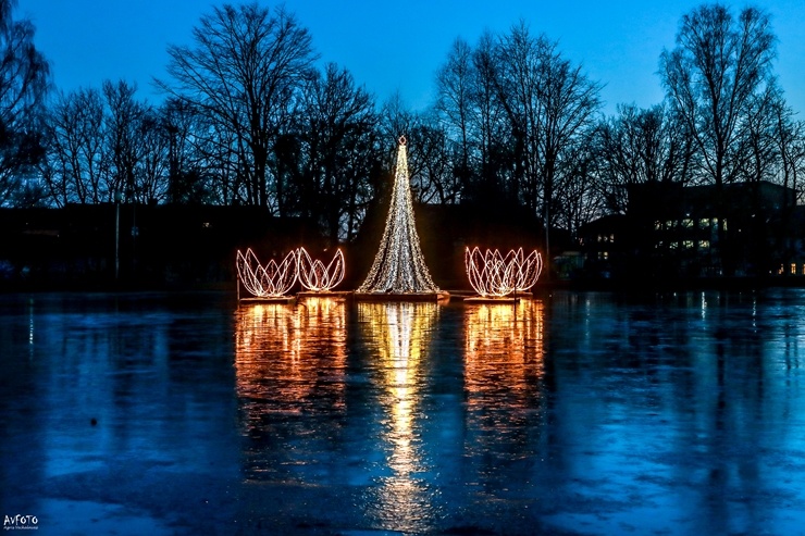Krāšņā Madona pošas Ziemassvētkiem. Foto: Agris Veckalniņš 295389