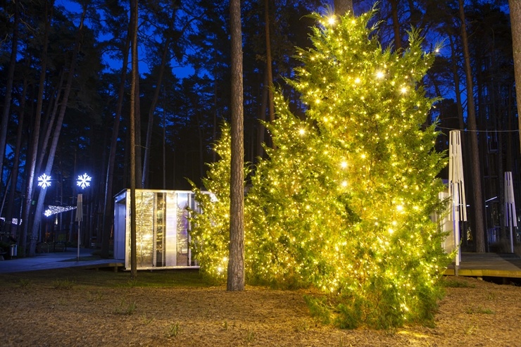 Kūrortpilsēta Jūrmala skaista arī ziemā 295595