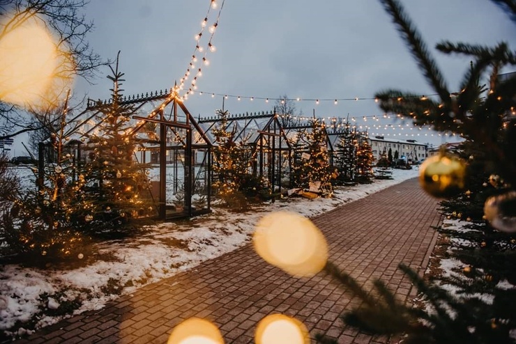 Vidzemes pilsēta Valmiera pošas Ziemassvētkiem. Foto: Valmieras pilsētas pašvaldība un Vija Zvejniece Vidzemes pilsēta Valmiera pošas Ziemassvētkiem. Foto: Valmieras pilsētas pašvaldība un Vija Zvejniece 295652