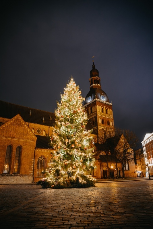 Kraukšķi Rīgā. Foto: Kristaps Liepa 295783