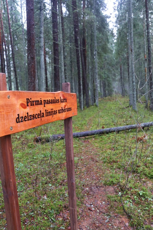 Baldones dabas takas pozitīvi pārsteidz Travelnews.lv redakciju 295901