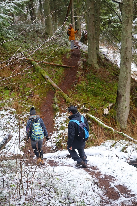 13 km pārgājiens gar Braslas upi un Virtakas iezi iepriecina Travelnews.lv redakciju 296143