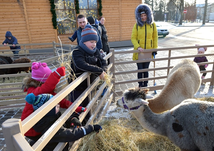 Latgales pilsēta Daugavpils gaida Jauno gadu. Foto: Andrejs Jemeļjanovs 296177