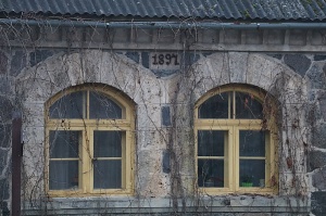 26