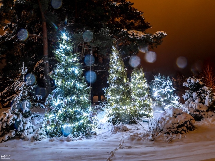 Tā Madonā izrotāja mājas svētku laikā. Foto: Agris Veckalniņš 296427
