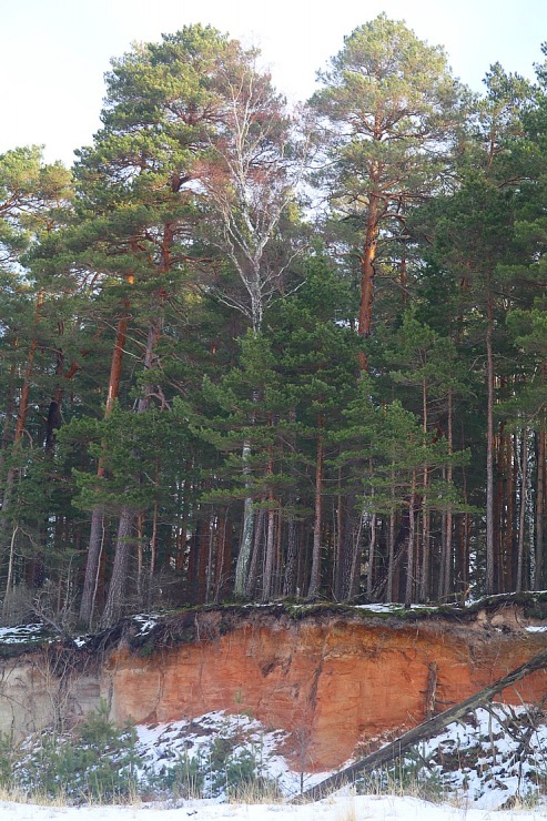 Pārgājiena maršrutā Tūja - Ķurmrags - Veczemju klintis dodas Travelnews.lv redakcija 297005