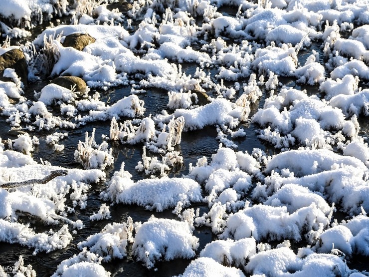 Madona ieslīgst ziemas apskāvienos. Foto: Madona.lv 297648