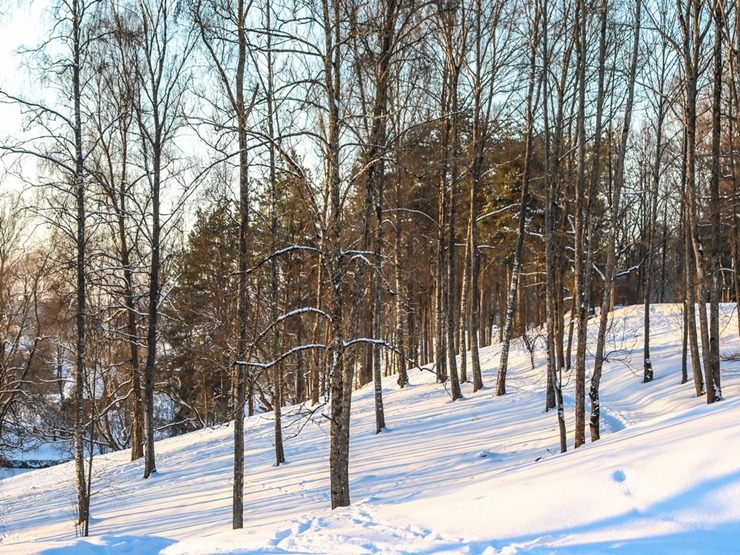 Madona ieslīgst ziemas apskāvienos. Foto: Madona.lv 297654