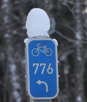 44