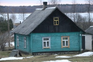 29
