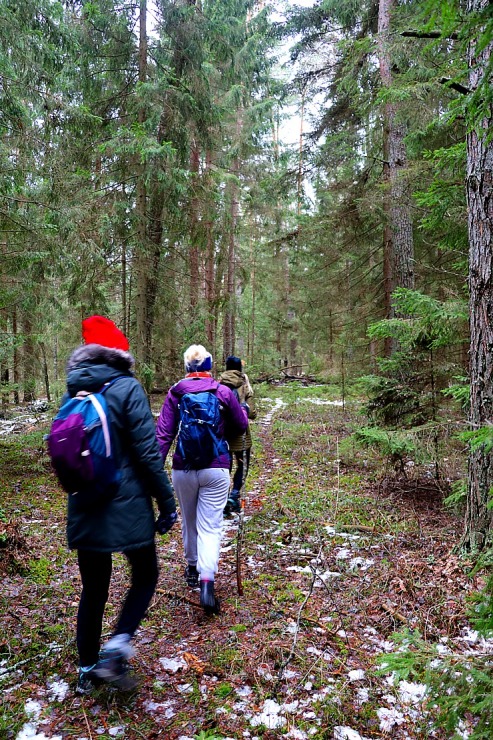 Travelnews.lv Baltkrievijas robežas tuvumā dodas 27 km pārgājienā, ko atbalsta auto noma «Sixt Latvija» Travelnews.lv Baltkrievijas robežas tuvumā dodas 27 km pārgājienā, ko atbalsta auto noma «Sixt Latvija» 298061