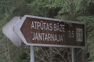 43