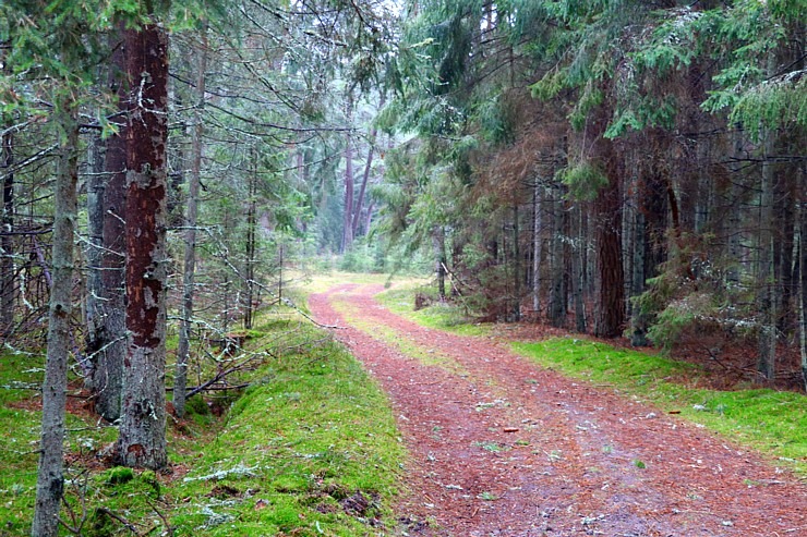 Travelnews.lv dodas 20 km pārgājienā Pāvilostas apkārtnē 1.daļa 298333
