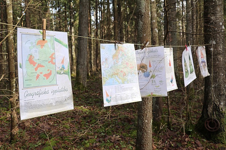 Travelnews.lv dodas 28 km pārgājienā gar Dienvidsusējas upi Sēlijā 2.daļa 299421