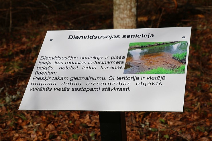 Travelnews.lv dodas 28 km pārgājienā gar Dienvidsusējas upi Sēlijā 2.daļa 299407