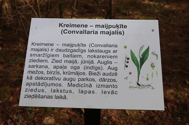 Travelnews.lv dodas 28 km pārgājienā gar Dienvidsusējas upi Sēlijā 2.daļa 299434