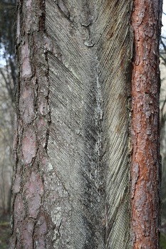 34