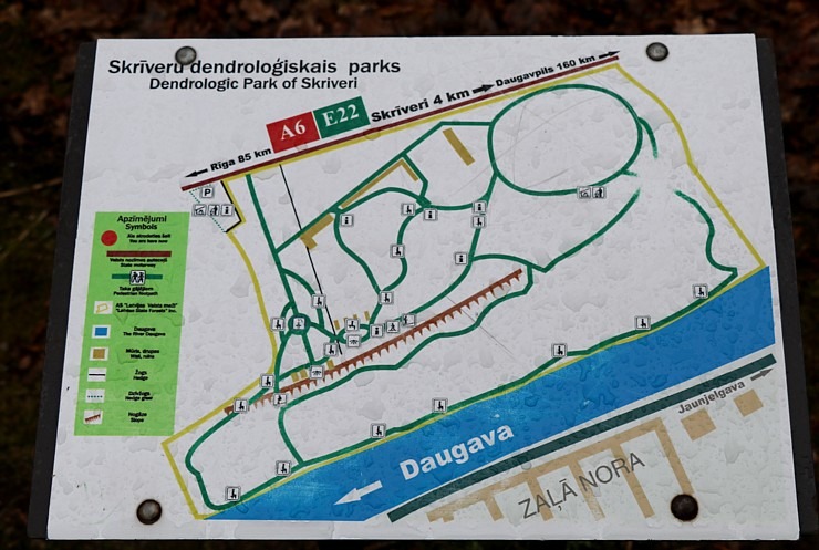 Travelnews.lv dodas 27 km pārgājienā Skrīveru novadā - Skrīveru Dendroloģiskais parks 299679