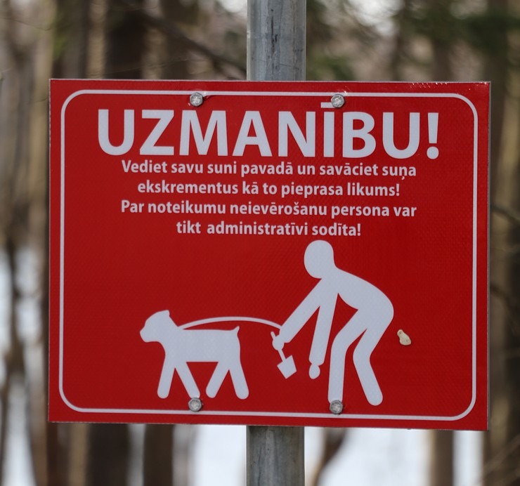 Kokneses parks starp Pērses un Daugavas krastiem ir burvīga atpūtas un pastaigu vieta 300081
