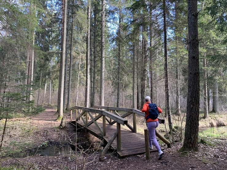 Travelnews.lv dodas 23 km pārgājienā Tukuma apkārtnē 300417