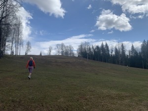 36