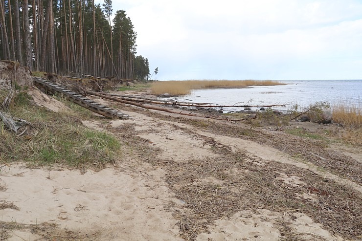 Travelnews.lv izmanto Jūrtaku 20 km pārgājienam Engures pusē 301131