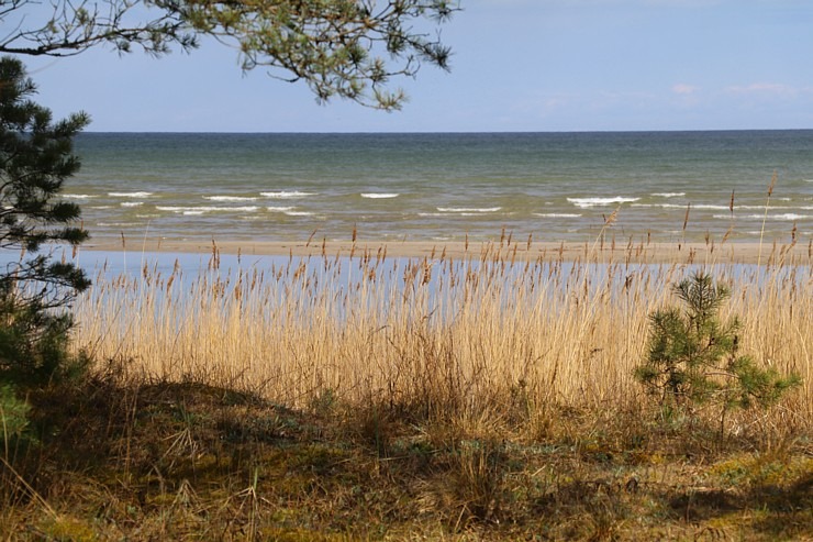 Travelnews.lv izmanto Jūrtaku 20 km pārgājienam Engures pusē 301132