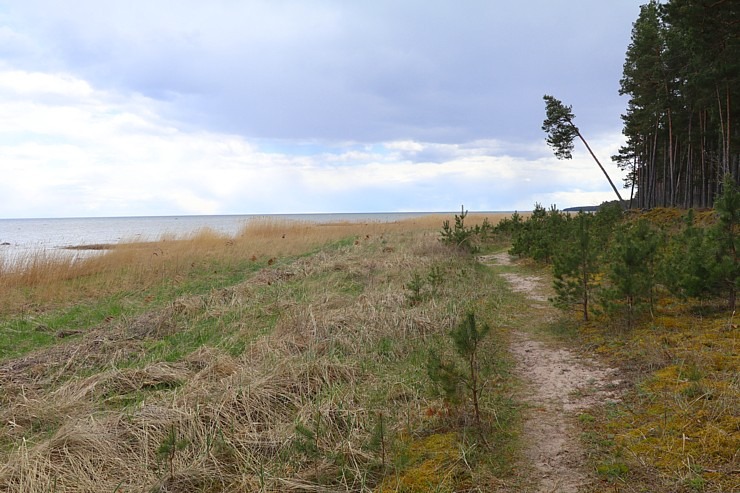 Travelnews.lv izmanto Jūrtaku 20 km pārgājienam Engures pusē 301133