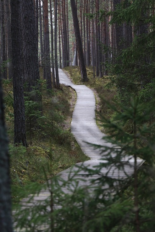 Travelnews.lv izmanto Jūrtaku 20 km pārgājienam Engures pusē 301150