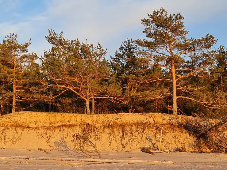 Travelnews.lv pirmo reizi apmeklē Gaujas ietekas labo krastu un Rīgas jūras līča pludmali saulrietā Travelnews.lv pirmo reizi apmeklē Gaujas ietekas labo krastu un Rīgas jūras līča pludmali saulrietā 301301
