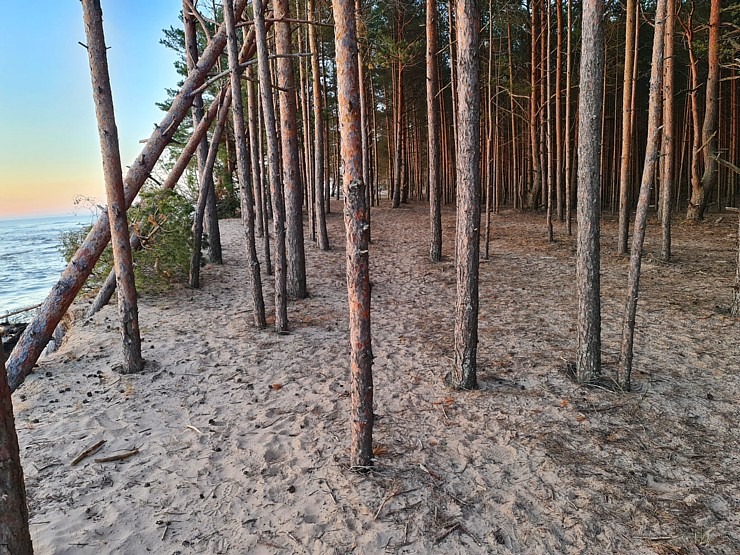 Travelnews.lv pirmo reizi apmeklē Gaujas ietekas labo krastu un Rīgas jūras līča pludmali saulrietā Travelnews.lv pirmo reizi apmeklē Gaujas ietekas labo krastu un Rīgas jūras līča pludmali saulrietā 301317