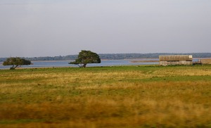 25