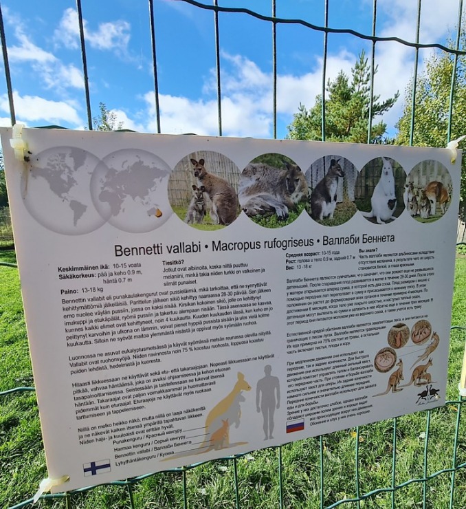 Travelnews.lv apciemo strausu fermu «Muhu jaanalinnufarm» un iepazīst arī zebras, ķengurus un Alpakas Travelnews.lv apciemo strausu fermu «Muhu jaanalinnufarm» un iepazīst arī zebras, ķengurus un Alpakas 307051