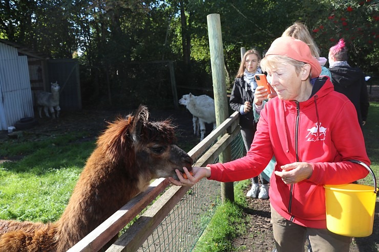 Travelnews.lv apciemo strausu fermu «Muhu jaanalinnufarm» un iepazīst arī zebras, ķengurus un Alpakas Travelnews.lv apciemo strausu fermu «Muhu jaanalinnufarm» un iepazīst arī zebras, ķengurus un Alpakas 307058