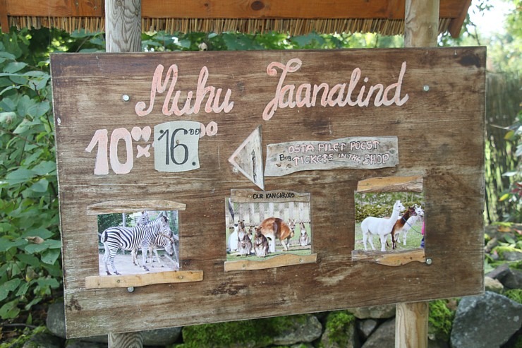 Travelnews.lv apciemo strausu fermu «Muhu jaanalinnufarm» un iepazīst arī zebras, ķengurus un Alpakas Travelnews.lv apciemo strausu fermu «Muhu jaanalinnufarm» un iepazīst arī zebras, ķengurus un Alpakas 307068