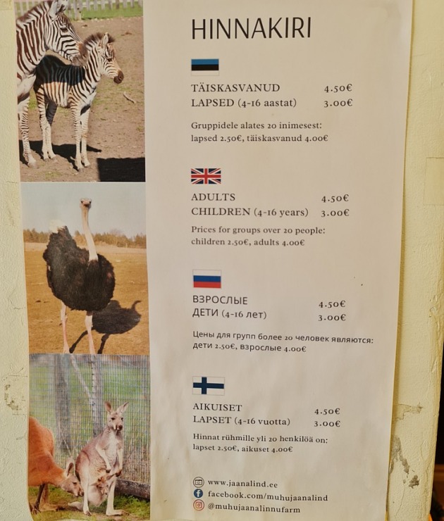Travelnews.lv apciemo strausu fermu «Muhu jaanalinnufarm» un iepazīst arī zebras, ķengurus un Alpakas Travelnews.lv apciemo strausu fermu «Muhu jaanalinnufarm» un iepazīst arī zebras, ķengurus un Alpakas 307069