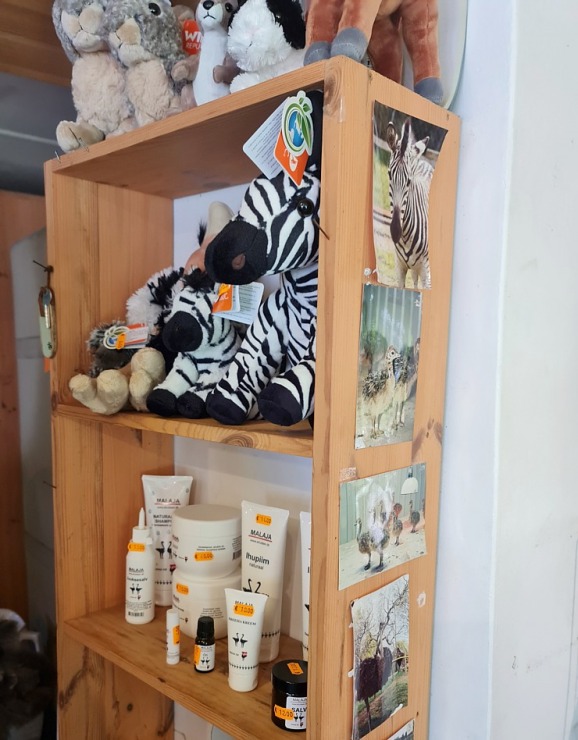 Travelnews.lv apciemo strausu fermu «Muhu jaanalinnufarm» un iepazīst arī zebras, ķengurus un Alpakas Travelnews.lv apciemo strausu fermu «Muhu jaanalinnufarm» un iepazīst arī zebras, ķengurus un Alpakas 307072