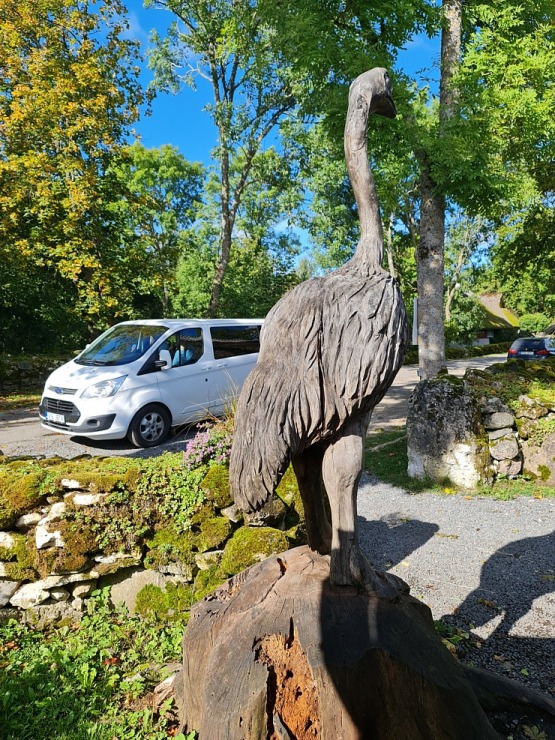 Travelnews.lv apciemo strausu fermu «Muhu jaanalinnufarm» un iepazīst arī zebras, ķengurus un Alpakas Travelnews.lv apciemo strausu fermu «Muhu jaanalinnufarm» un iepazīst arī zebras, ķengurus un Alpakas 307077